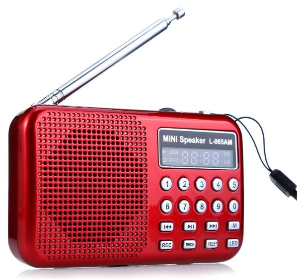 L-065AM